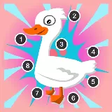 Point To Point Birds