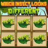 Which Insect Looks Different